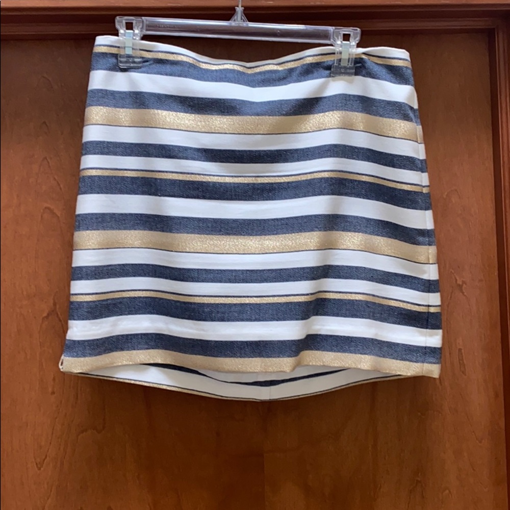 J. Crew Skirt